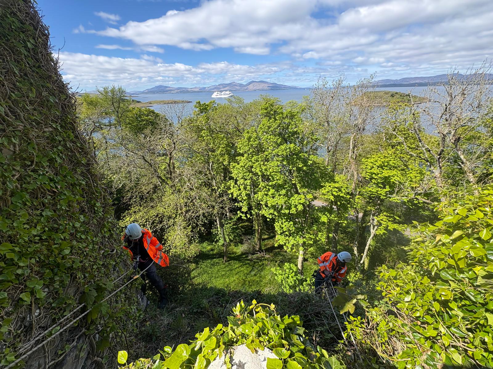 Castle Conservation